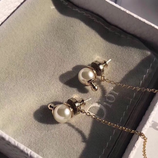 Dior Earring CSJ13551153