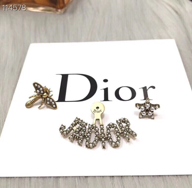 Dior Earring CSJ54211113