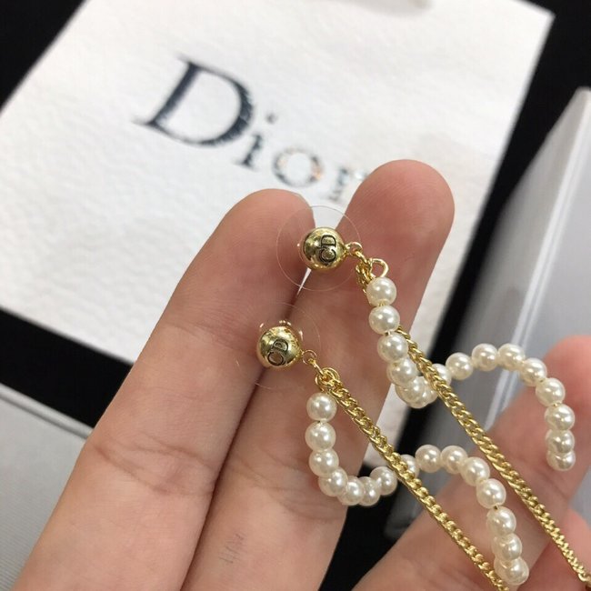 Dior Earring CSJ32132113