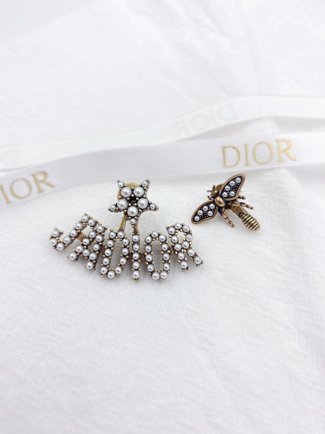 Dior Earring CSJ12535312