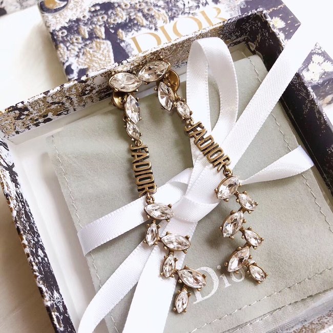 Dior Earring CSJ12121521