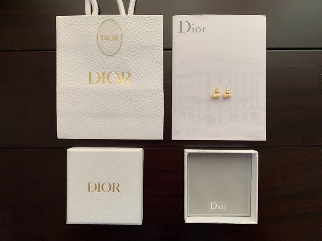 Dior Earring CSJ31311335