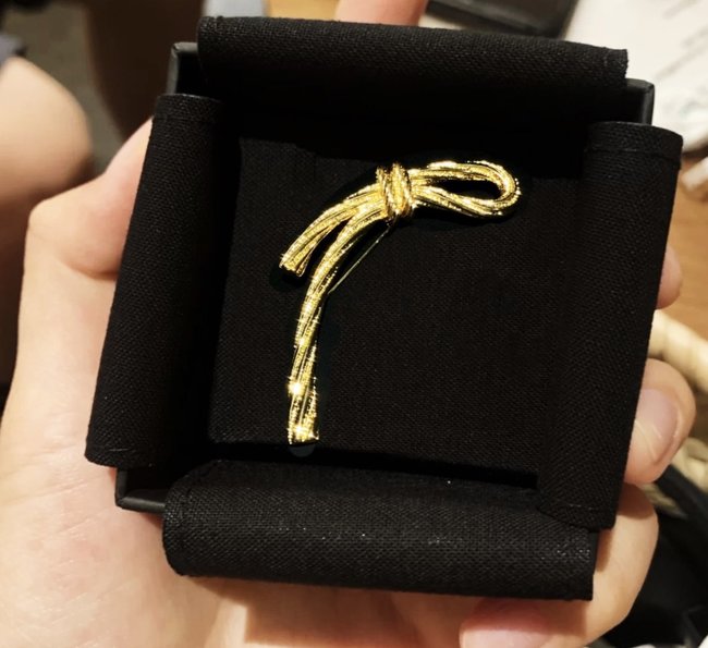 Dior Brooch CSJ70001491