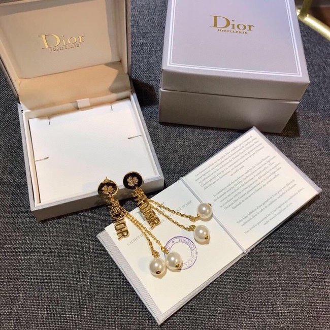 Dior Earring CSJ35331153