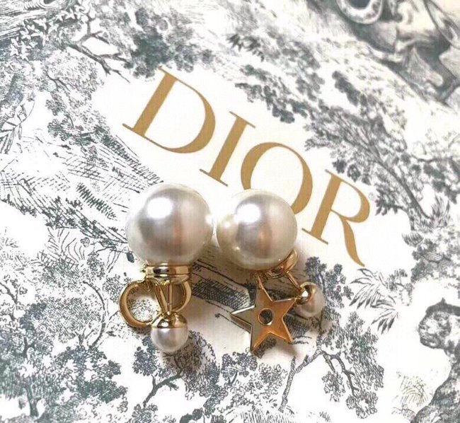 Dior Earring CSJ31322215