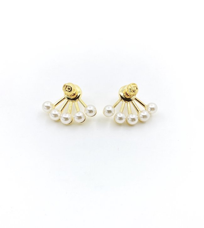 Dior Earring CSJ45222251