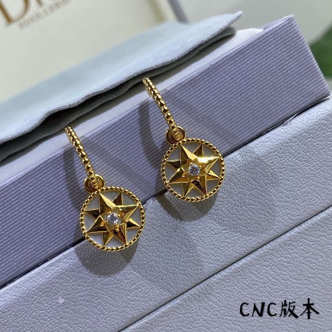 Dior Earring CSJ11552415