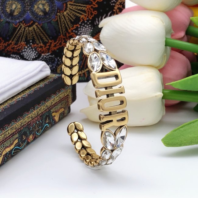 Dior Bracelet CSJ70001835