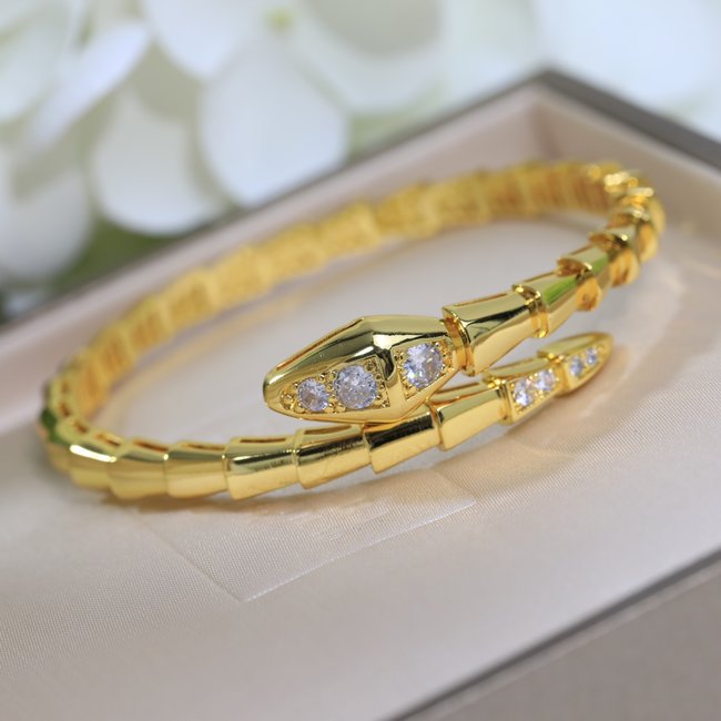 Bvlgari Bracelet CSJ13422124