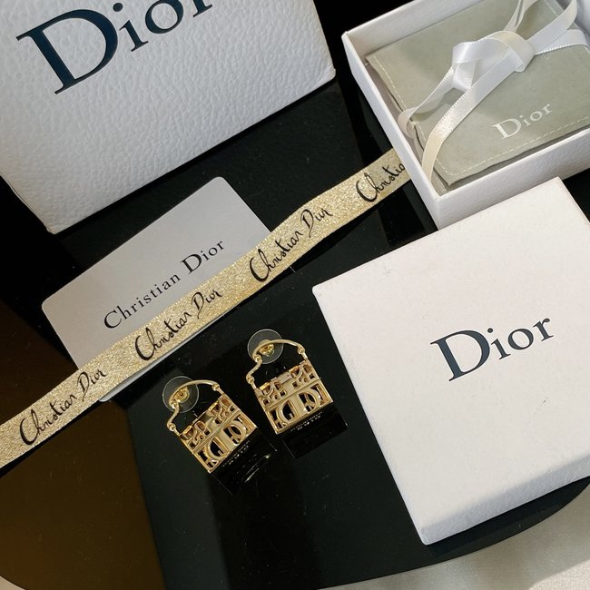 Dior Earring CSJ12341251