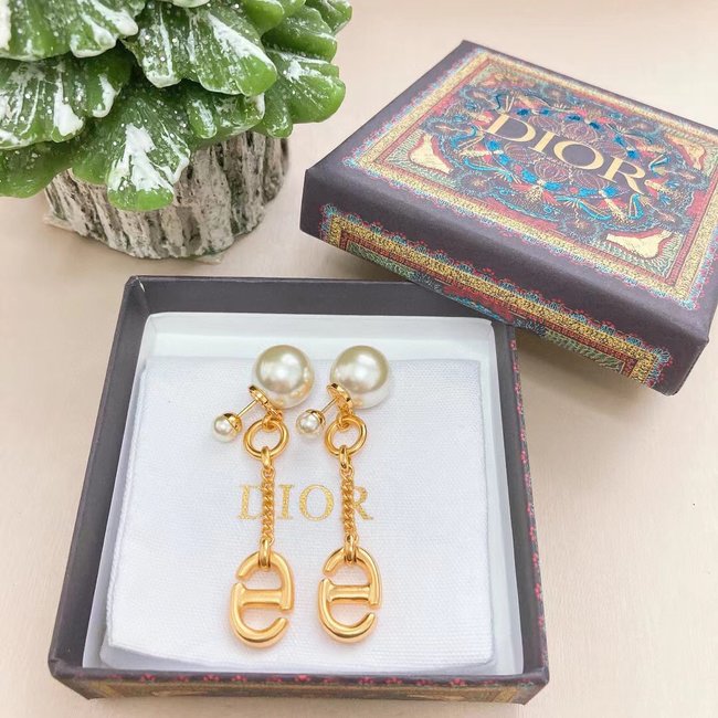 Dior Earring CSJ25323431