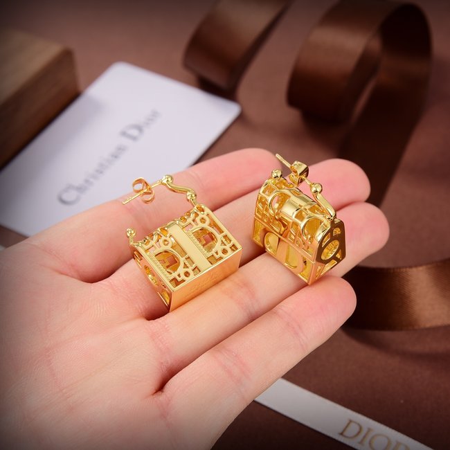 Dior Earring CSJ53311231