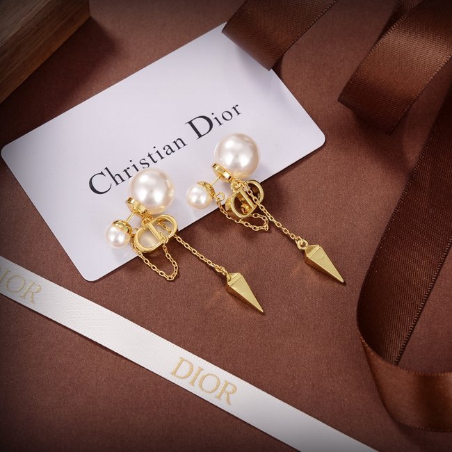 Dior Earring CSJ54315112