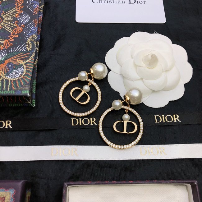 Dior Earring CSJ54525445