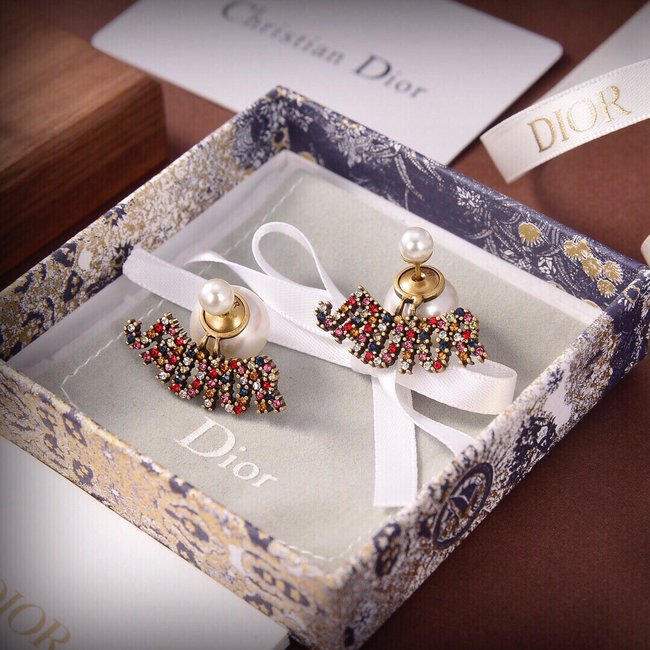 Dior Earring CSJ35515534