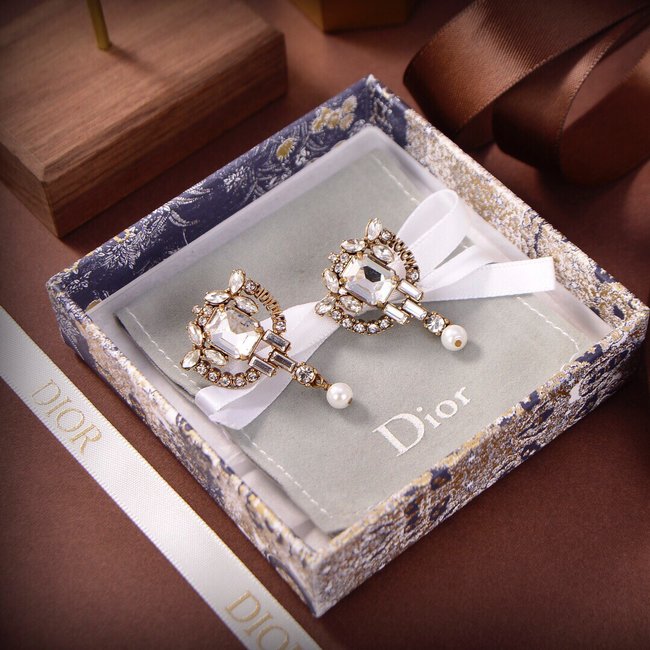 Dior Earring CSJ14333145