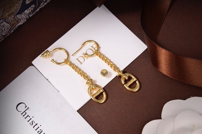 Dior Earring CSJ22212135