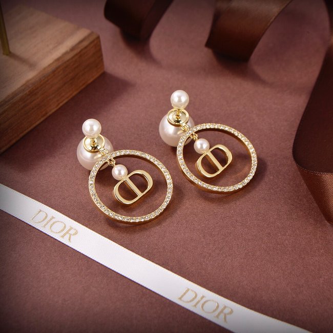 Dior Earring CSJ53553232