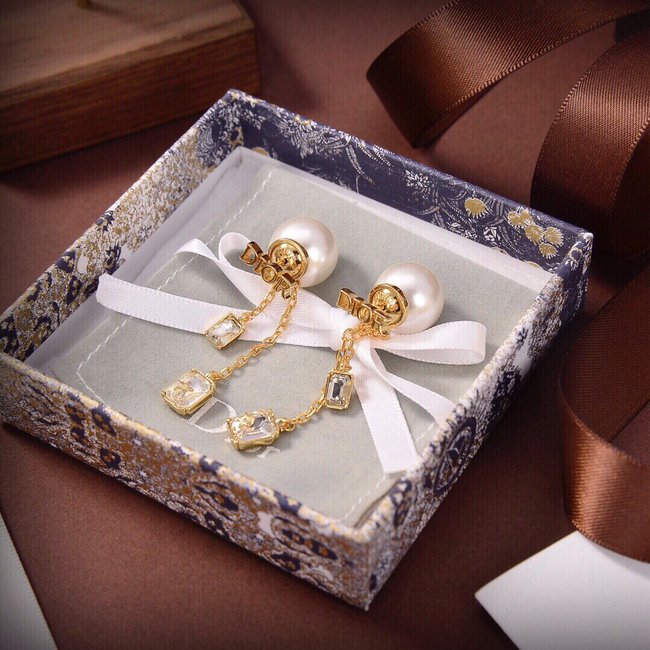 Dior Earring CSJ14425212